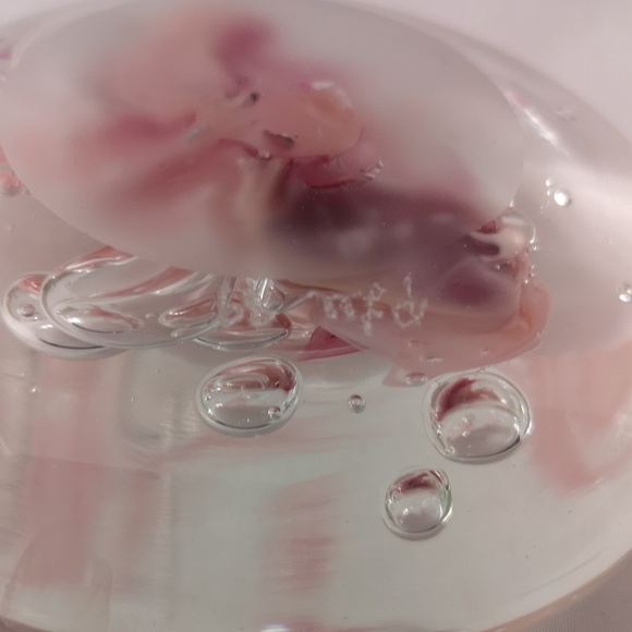 Beautiful Signed Hand-blown Large Glass Paperweight with Pink and Bubble Design - Picture 6 of 7